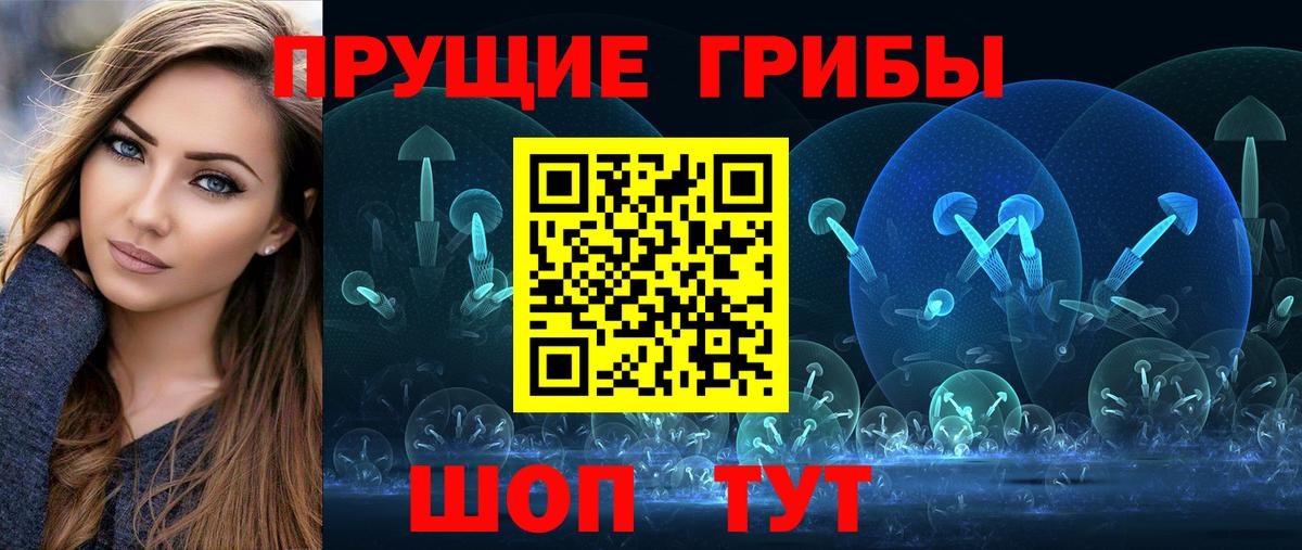 Псилоцибиновые грибы GOLDEN TEACHER  Галлюциногенные грибы мицелий  Кудрово  купить наркоту  Вход с VPN 